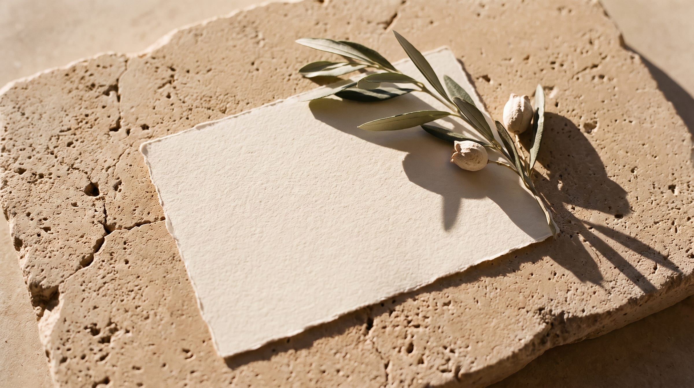 A cream cotton-paper card on warm limestone beside a sprig of olive, in late sun